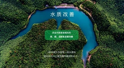 一滴水的十年變革